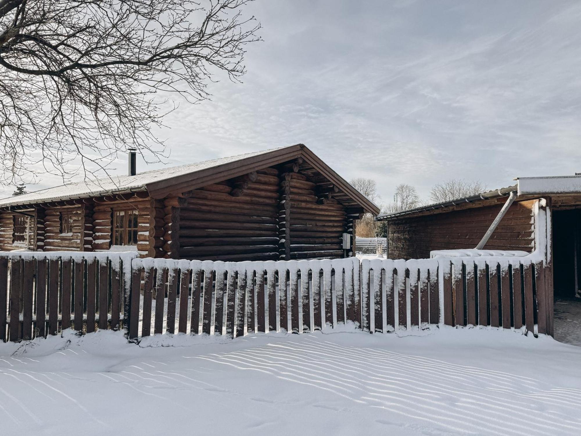 Fjordhygge - Authentic Wood Log Cabin Summerhouse Near Water, Fjord And Forest Jaegerspris Luaran gambar